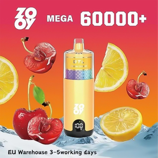 Zooy DTL Prefilled Pod Vapes 60000 Puff