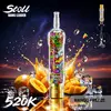 Bang Leader 520K High Puff Mesh Vape